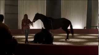 Heartland - Dark Horse Audition