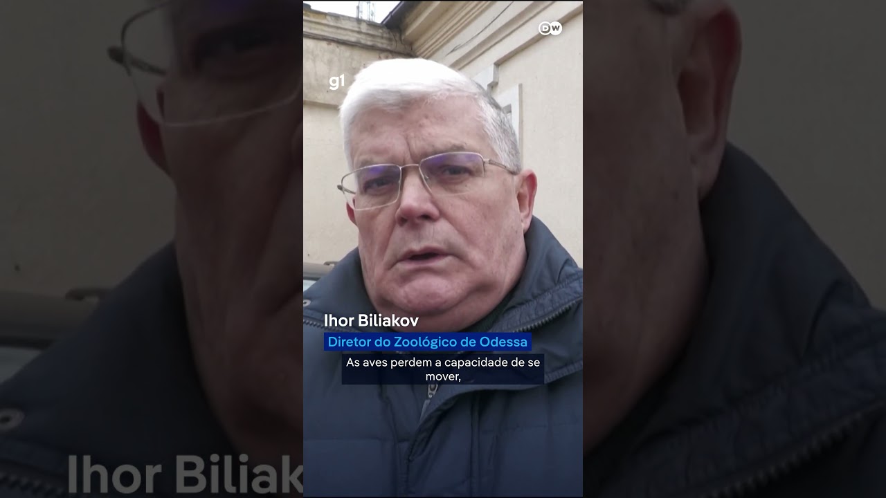 Aves são salvas após ataque russo causar vazamento de óleo