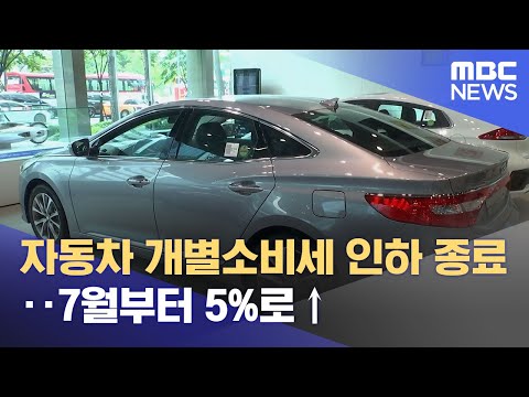 자동차 개별소비세 인하 종료‥7월부터 5%로↑ (2023.06.08/5MBC뉴스)