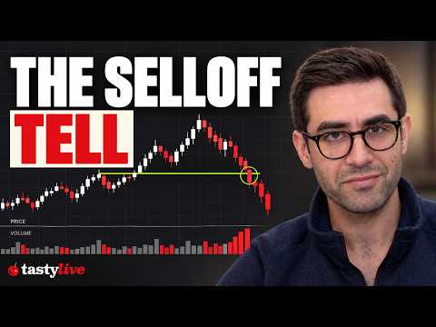 How to Tell a Good Selloff From a Bad One, With Vecchio and Spivak