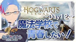 【#ホグワーツレガシー/PC】この世界脳が魔法で出来てるなと思うシオルト・サーコン学園生活～day12～