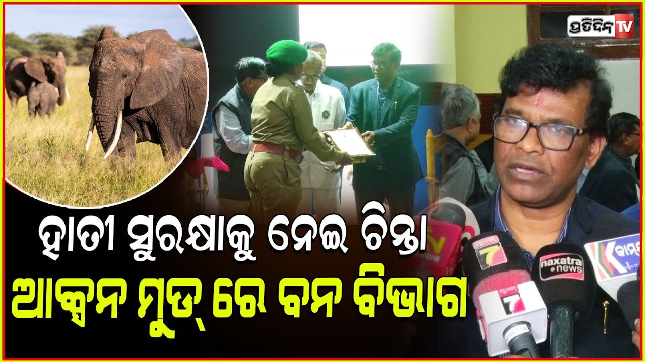 ଜଙ୍ଗଲ ରେ ନ ରହି କାହିଁକି ଗାଁ ମୁହାଁ ହେଉଛନ୍ତି ହାତୀ ? Minister Ganesh Ram Singhkhuntia