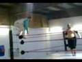 iranianwrestlingart