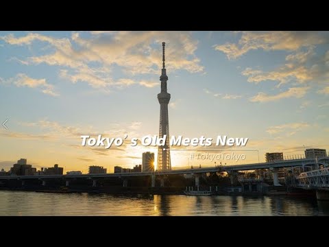 Tokyo's Old Meets New