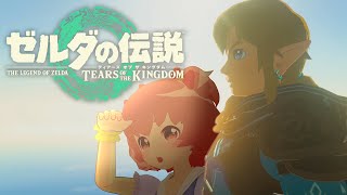 【ゼルダの伝説ティアーズオブザキングダム】とりあえず各地方回ってみよっかなpart-24