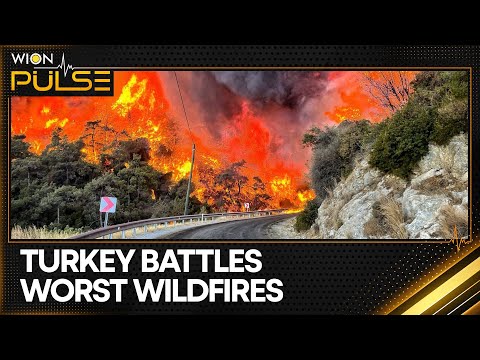 Turkey Wildfire: More Than 50,000 People Evacuated | Turkiye Battles Raging Wildfires | WION Pulse