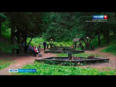Природа в зоне доступа