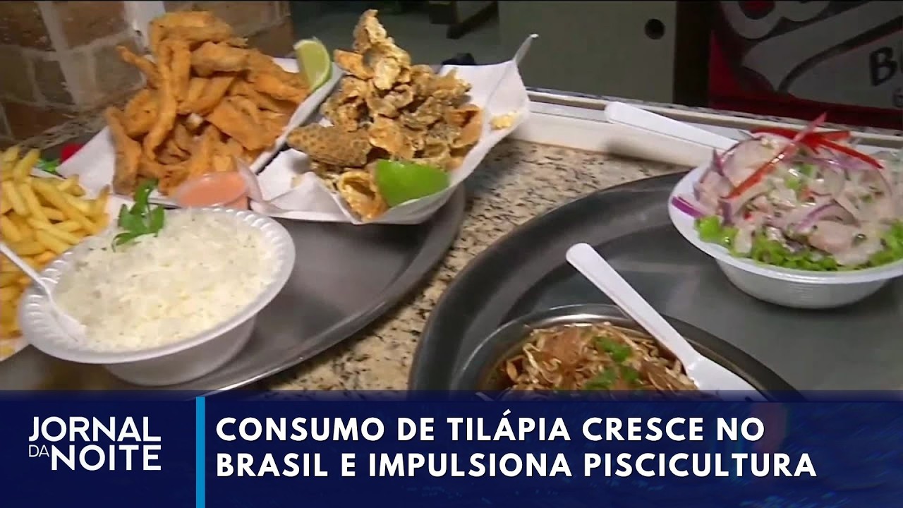 Consumo de tilápia cresce no Brasil e impulsiona piscicultura