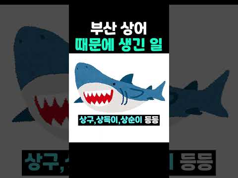 부산 상어 때문에 <strong>생긴</strong> 일