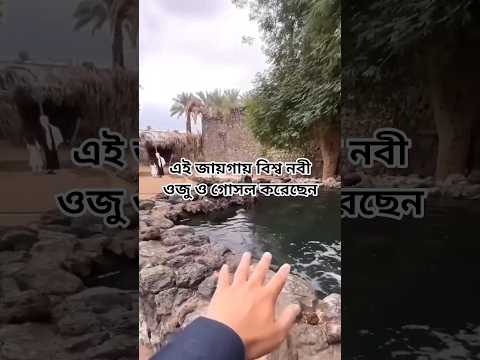 কোন জায়গায় বিশ্ব নবী ওজু ও গোসল করেছেন#shorts #shortsvideo #islam #quran #foryou