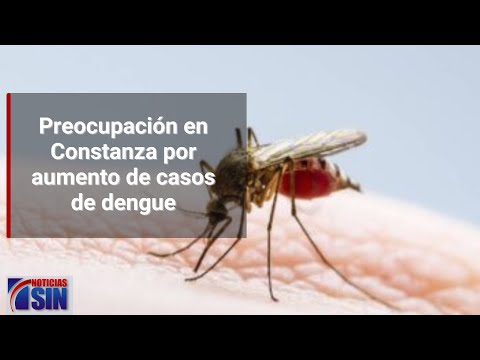 Residentes en Constanza preocupados tras aumento de dengue