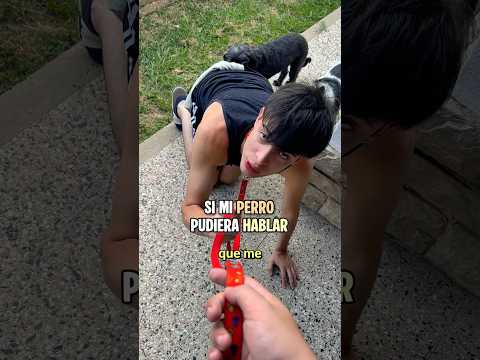 SI MI PERRO PUDIERA HABLAR #humor #comedia #sketch