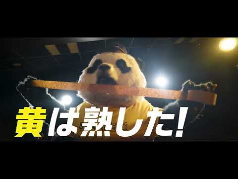 まごころパンダ新ユニフォームムービー 15秒Ver.