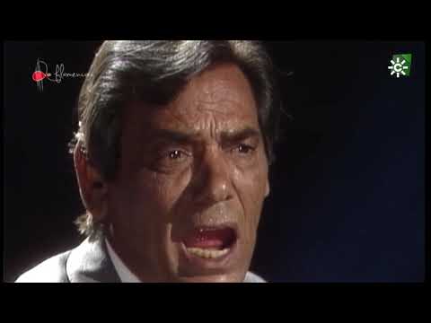 Seguiriyas. Chocolate. 1990
