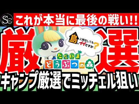 【どうぶつの森】匠帽子のGAME漫遊日記#10  ～今回がラストチャンス！キャンプサイト厳選でミッチェル狙い！～