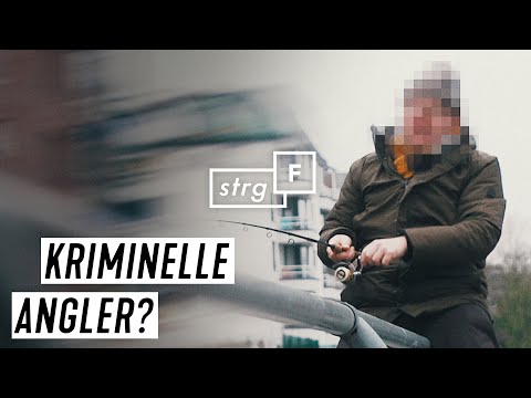 Angeln nur zum Spaß: Was soll Catch & Release? | STRG_F