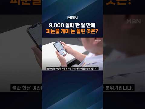 9,000 돌파 환호 겨우 한달 만에 이렇게 폭락?…개미들 눈 돌린 곳은?