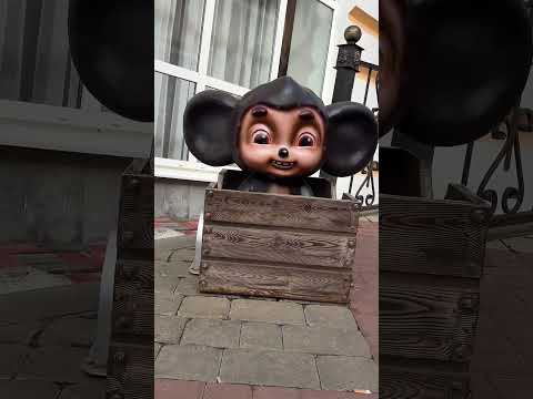 Добро пожаловать в Кисловодск. Самый солнечный город России 🔥 #михаилволин #отдых #кисловодск