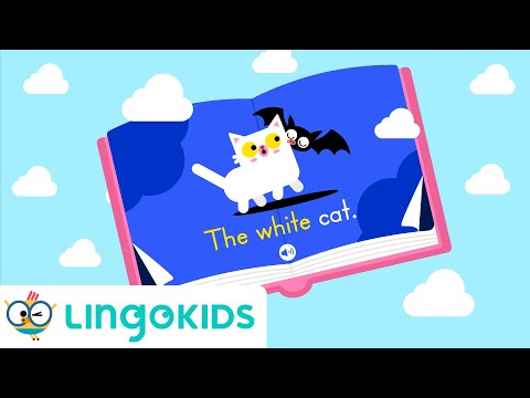 Bat and Cat 🦇🐈 Audiobook for Kids  | Lingokids
