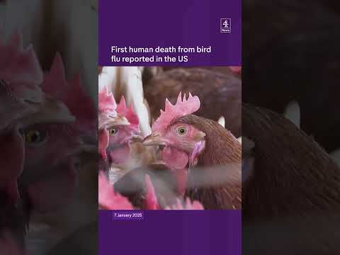 US reports first human death from bird flu