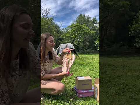 PART 1 : CAVALIÈRE TRI ATHLÈ 👟🐴🩱#équitation #equestrian #triatleta