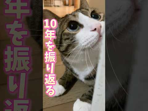 三太登場の動画を楽しもう！続きも見てね サムネイル