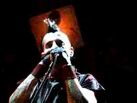 Red Hot Chili Peppers US Tour 2000 My Lovely Man