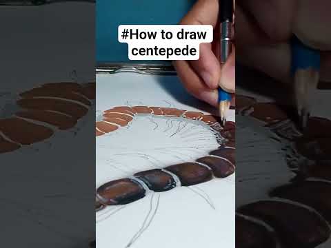 HOW TO DRAW CENTIPEDE #art #CINTEPEDE #fypシ゚viral #drawing #garden
