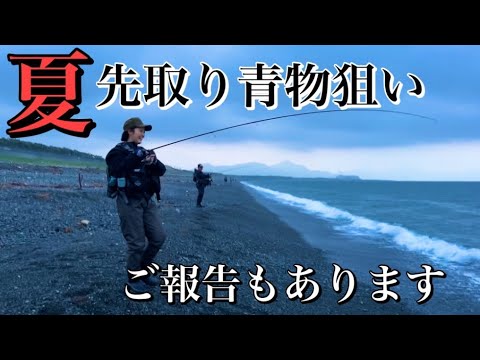【ご報告】爆風の中、プロトジグサビキで夏の回遊魚を狙い撃ち！！！