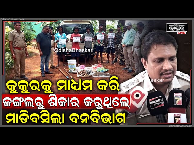 କୁକୁର ମାଧ୍ୟମରେ ଜଙ୍ଗଲରୁ ଶିକାର । ସ୍କର୍ପିଓ ସହ ବାରହା ମାଂସ ଜବତ, ୫ ଗିରଫ ।