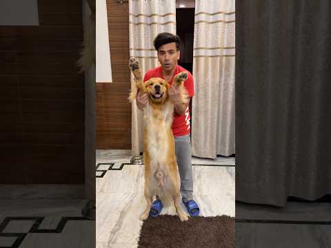 Reo ki height😂 #shorts | Anant Rastogi