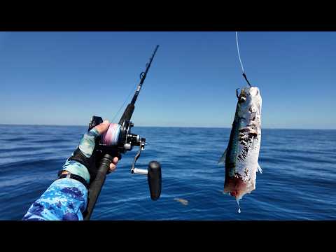 Lake Atlantic Offshore Fishing - Grouper Season South FL | Gag, Snowy Grouper, Snapper, and Tuna!!