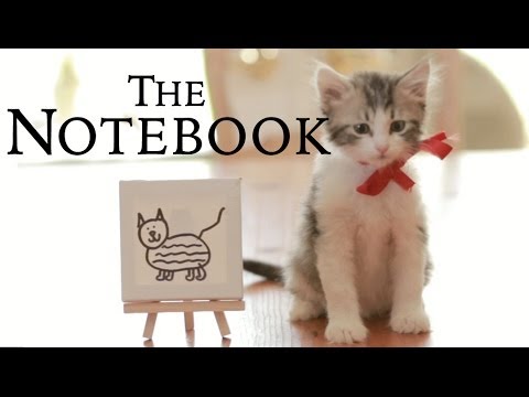 The Notebook - Cat Parody - UCPIvT-zcQl2H0vabdXJGcpg