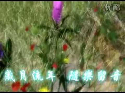 曹芙嘉-《倾城之恋》主题曲—《美丽》.flv