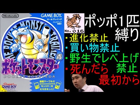 【世界最難関縛り】ポケモン初代 ポッポ1匹で全クリ目指す配信 2日目【人生縛り】