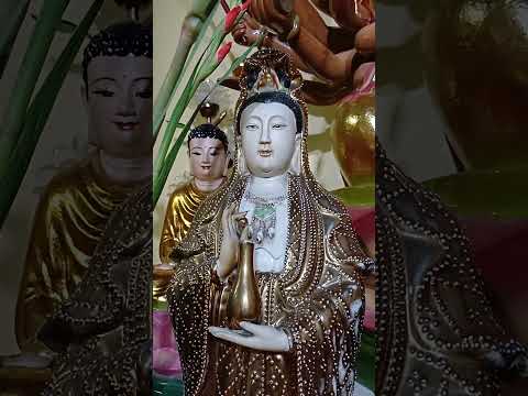 chùa Hoa Quận 8, #phongthuy #vongtayphongthuygiakhiem #travel