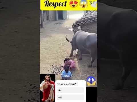 se você ama a Jesus, inscreva-se no nosso canal