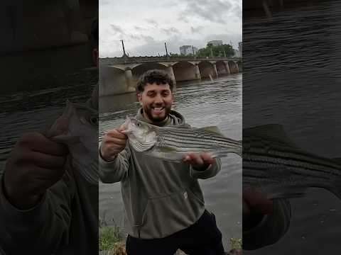 RAINY DAYS ARE THE BEST SOMETIMES! #fishing #fishingvideo #bassfishing #saltwater #fishingvacation