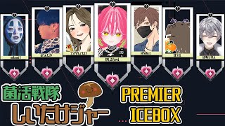 🐉VALO💞ぷれみあ：あいすぼっくす💞ヴァロ🐉
