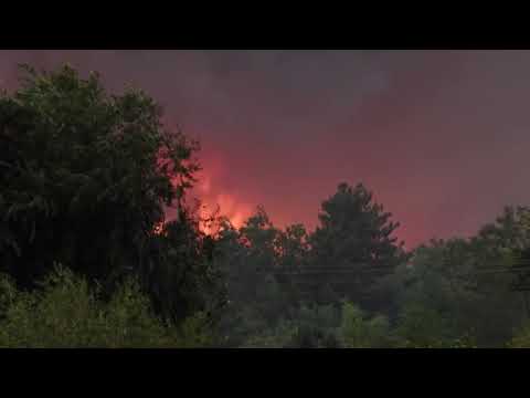 セルビアで消防隊が2日目も山火事と格闘