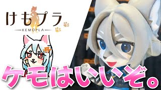 キャンペーンに当たったからアオシマさんに完成報告！ #けもプラ