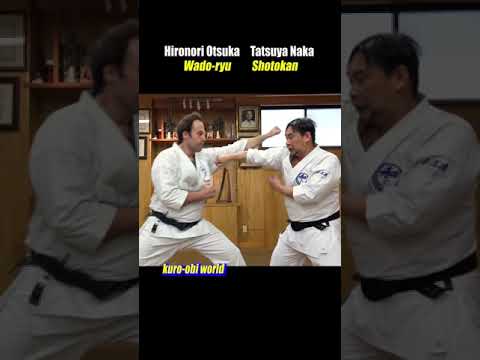 Defense becomes offense! Wado-ryu Karate