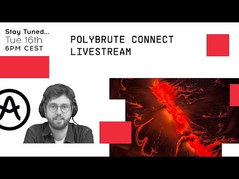 Livestream | PolyBrute meets PolyBrute Connect