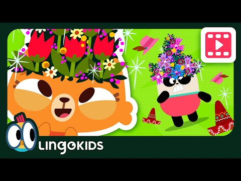 FUN WITH MATH 👒 Order by Size for kids | Lingokids Cartoons for kids