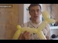 Собачка из шарика | Fun balloons, Balloons, Balloon dog