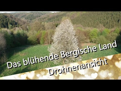 Das blühende Bergische Land - mit der DJI Spark Drohne gefilmt - UCNWVhopT5VjgRdDspxW2IYQ