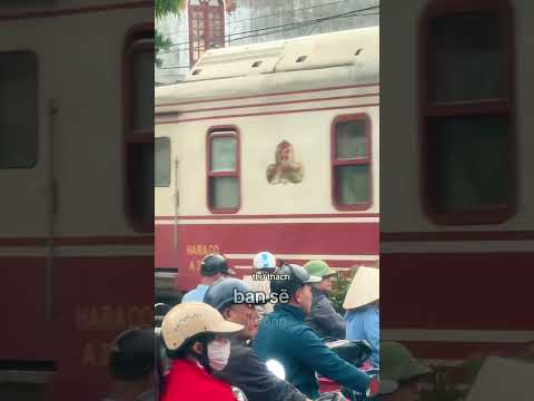 Áp lực sẽ tạo nên kim cương