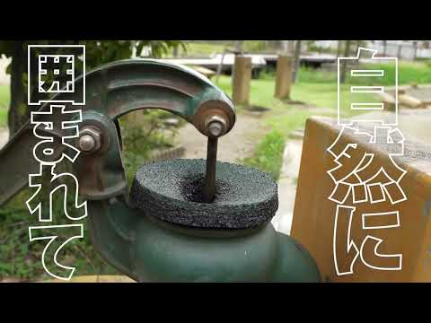 【本宮市×本宮高校】本宮市PR映像2025「のびのびあそべる」