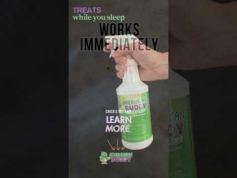 3 Years of Bug Bites—Gone for Good with Green Bean Buddy!