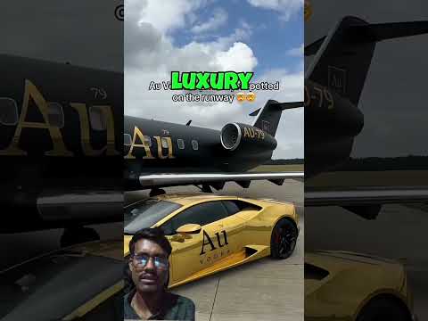 How this plane flies without an engine🙂